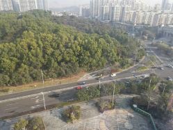 -兰心墩楠月子会所(万达店)