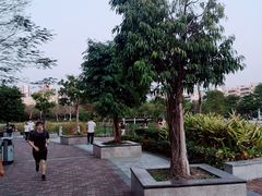 -松坪山公园