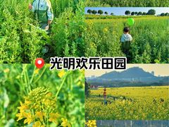 -光明小镇欢乐田园