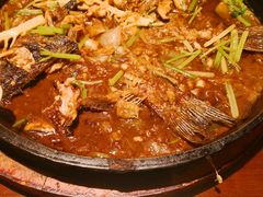 -老板恋上鱼(恒隆广场店)