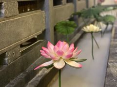 -徽镇小厨·经典徽菜(十里河店)
