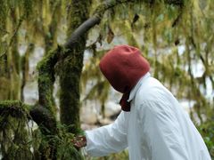 -西岭雪山大飞水景区