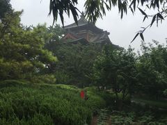 -西安青龙寺遗址景区