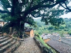 -杨家堂村