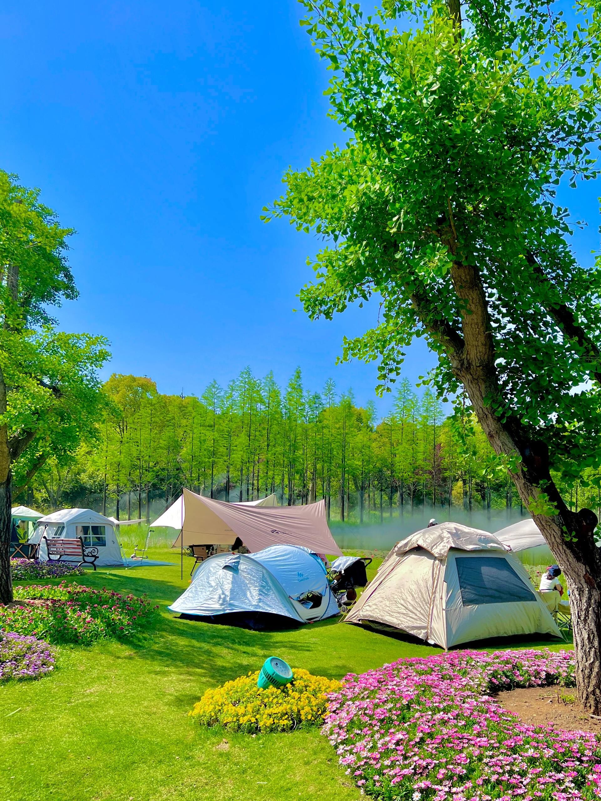 不一样的野餐风景线