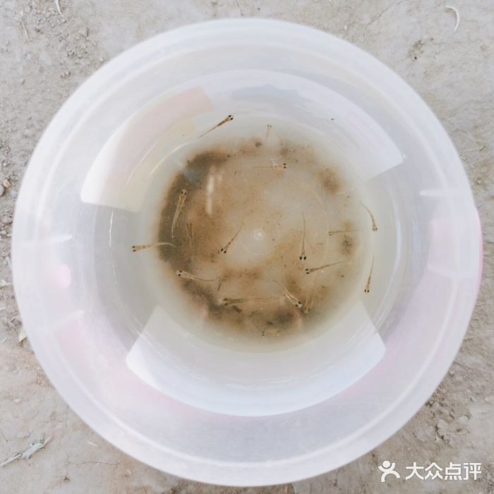 坝河休闲公园图片