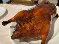 -金龙餐厅(圆山大饭店)