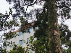 -鼓岭旅游度假区