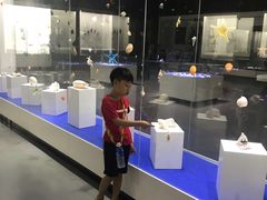 -贝壳王国博物馆