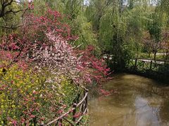 -南汇桃花村