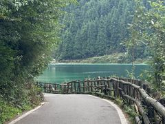 -武陵山森林公园