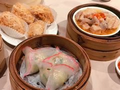 蔬菜饺-八樂居