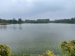 -东郊湿地公园