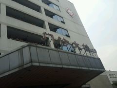 -华中科技大学同济医学院附属同济医院(汉口院区)