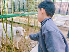 -廊坊固安福朋喜来登酒店