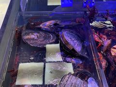 -盒马鲜生(大成店)
