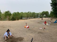-东郊湿地公园