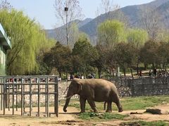 -西安秦岭野生动物园