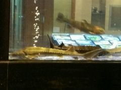 -麦斯汀烘焙坊(建昌兴隆店)