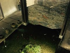 -几荷·恰似故人来(秀水广场店)