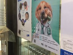 -宠颐生贝利健动物医院(谢家湾分院)