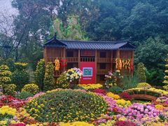 -南山植物园