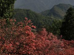 -岳西天峡风景区