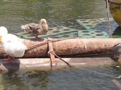 -南翠屏公园