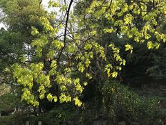 -汇龙潭