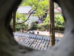 -黔灵山公园