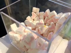 -狐狸和向日葵(北京路店)
