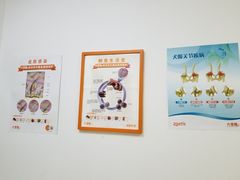 -创凡宠物医院·骨专科  猫科中心(西乡分院)