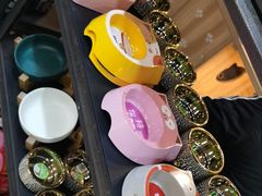 -喵百万·布偶·蓝金金渐层英短·猫舍(百子湾店)
