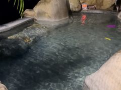 -水底山庄园温泉