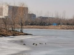 -东郊湿地公园