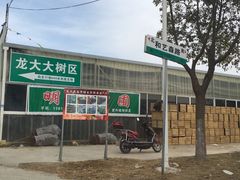 -龙大花卉苗木市场