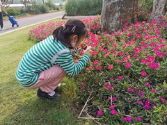 -上海长兴岛郊野公园