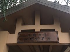 -大亚湾红树林城市湿地公园