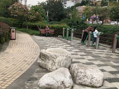 -神仙树公园