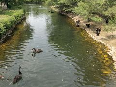 -长白岛森林公园