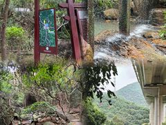 -东莞市大岭山森林公园