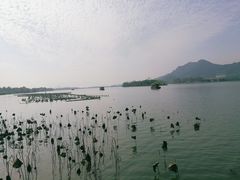 -茗醉园茶楼