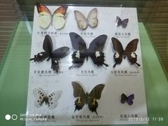 -蝴蝶泉公园