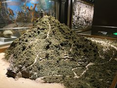 -马鞍山市博物馆