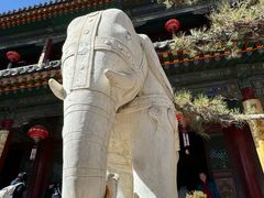 -五台山风景名胜区-罗睺寺