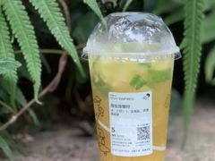 海盐菠爆柠-喜茶(深圳丰盛町店)