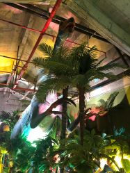 -恐龙探索乐园(磁器口店)