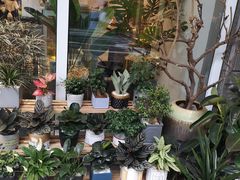 -卓花境Flowerwonderland花店