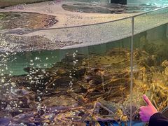 -蟹之国·精品蟹料理(极地店)