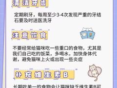 -御宝贝·A梦猫科宠物医院(国际猫友好医院)